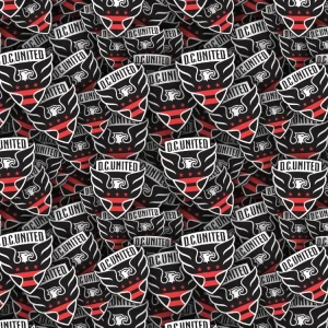 D.C. United 22