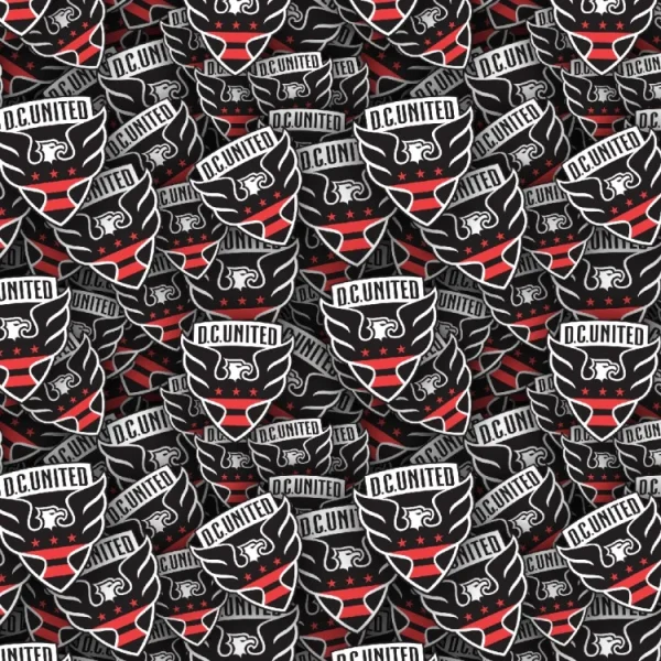 D.C. United 22
