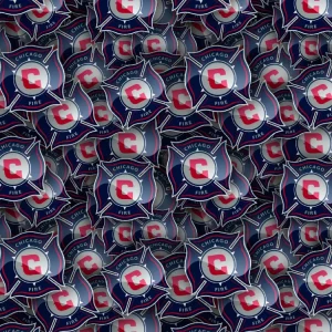 Chicago Fire 23