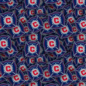 Chicago Fire 22