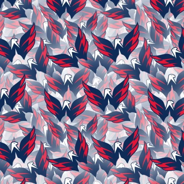 Washington Capitals 22