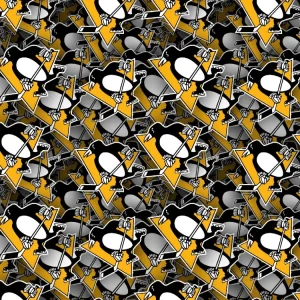 Pittsburgh Penguins 22