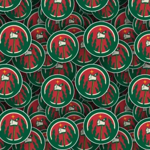 Minnesota Wild 24