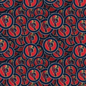Florida Panthers 24