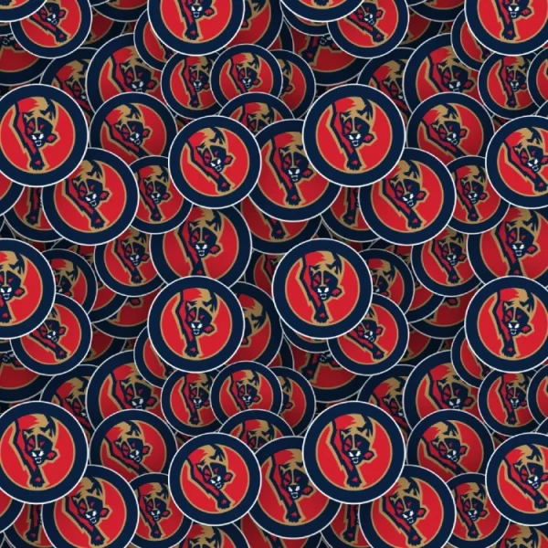 Florida Panthers 24