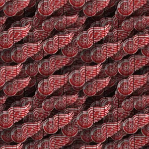 Detroit Redwings 23