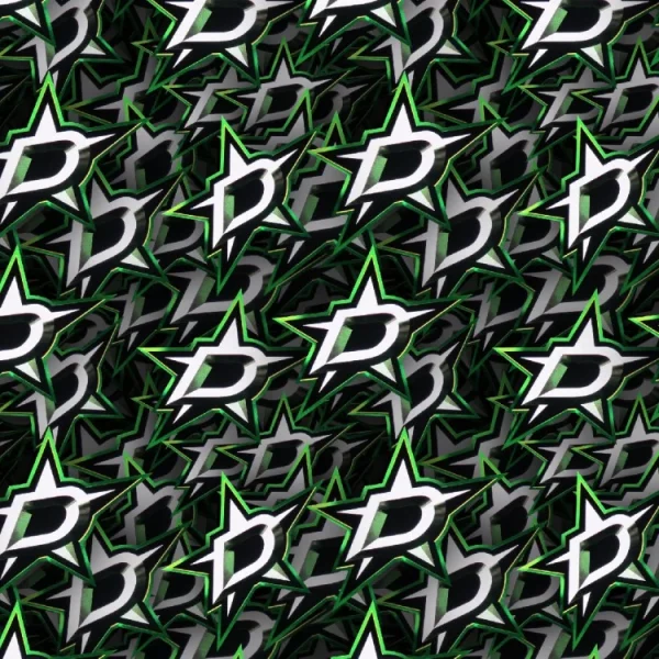 Dallas Stars 24