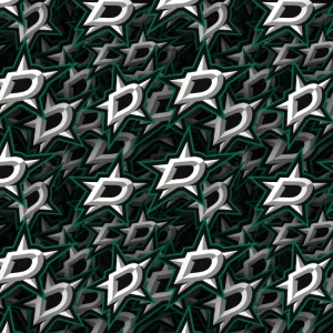 Dallas Stars 22
