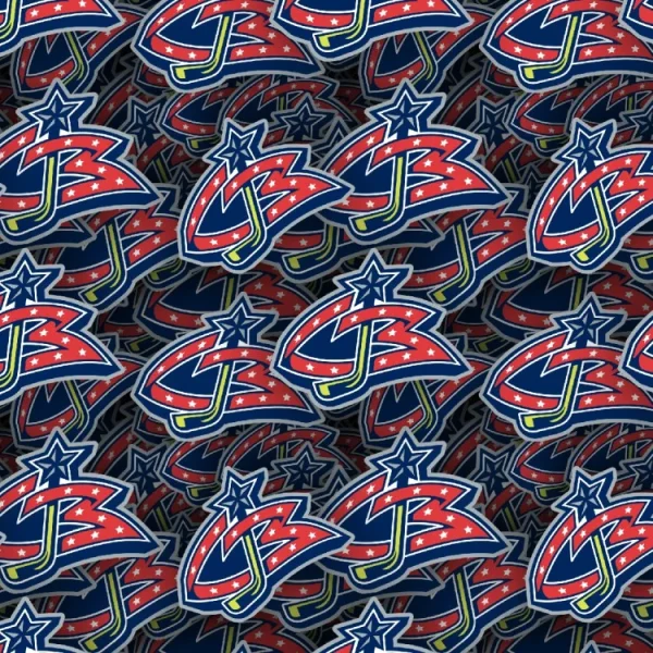 Columbus Blue Jackets 24
