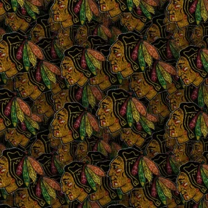 Chicago Blackhawks 24