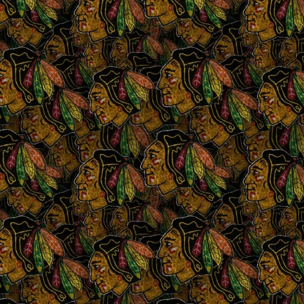 Chicago Blackhawks 24