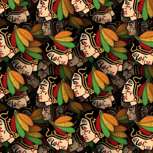 Chicago Blackhawks 22