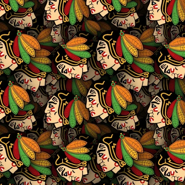 Chicago Blackhawks 22