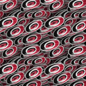 Carolina Hurricanes 24