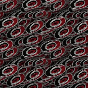 Carolina Hurricanes 23