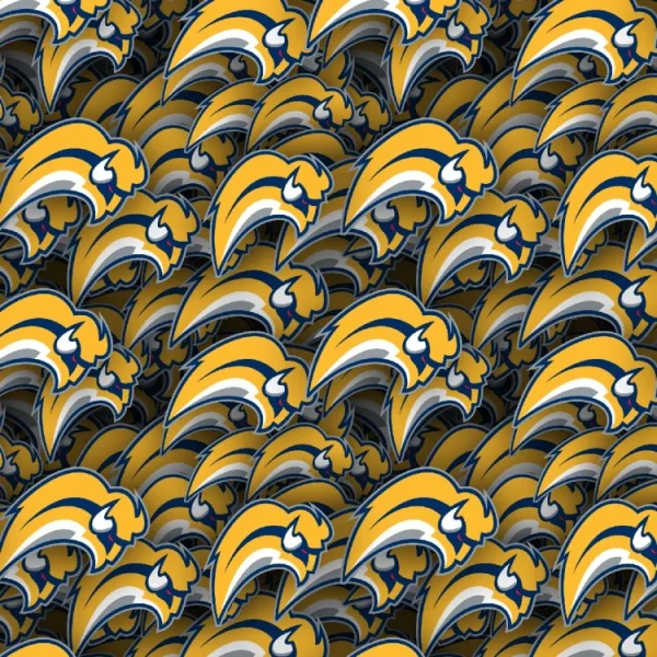 Buffalo Sabres 22