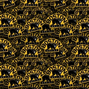 Boston Bruins 25