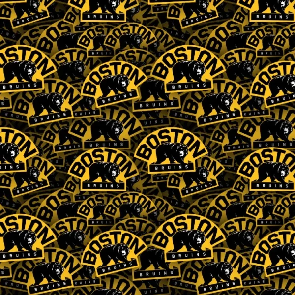 Boston Bruins 25