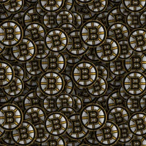 Boston Bruins 24