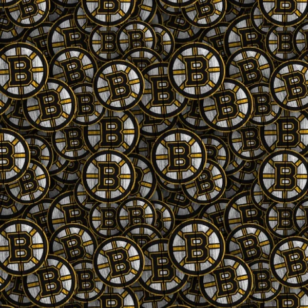 Boston Bruins 24