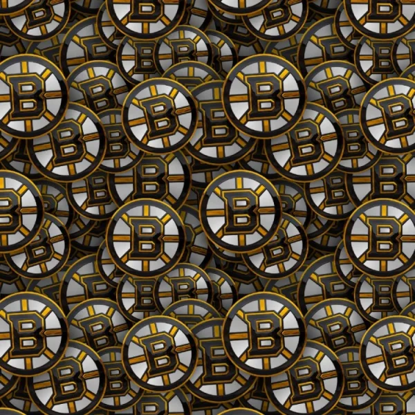Boston Bruins 23