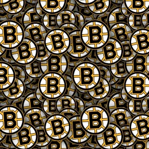 Boston Bruins 22