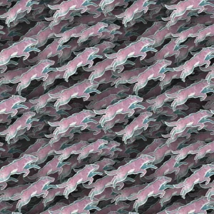 Arizona Coyotes 24