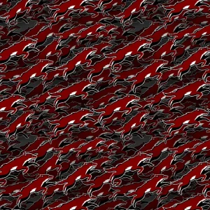 Arizona Coyotes 23