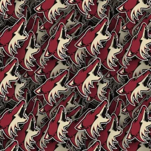 Arizona Coyotes 22