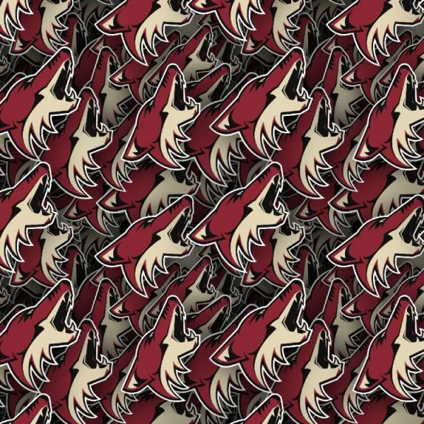 Arizona Coyotes 22