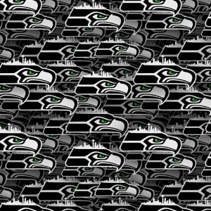 Seattle Seahawks 25