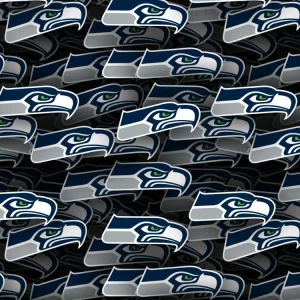 Seattle Seahawks 24
