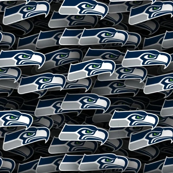 Seattle Seahawks 24