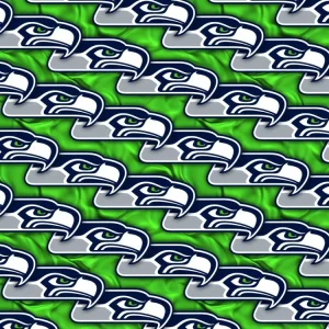 Seattle Seahawks 23