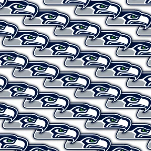 Seattle Seahawks 22