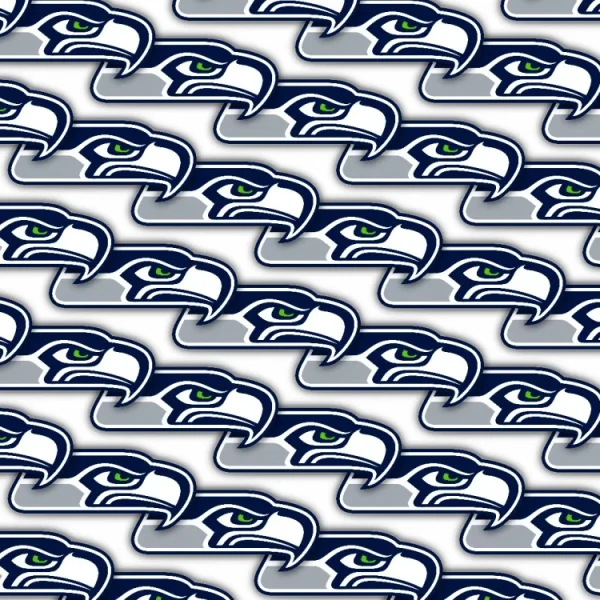 Seattle Seahawks 22