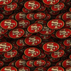San Francisco 49ers 25