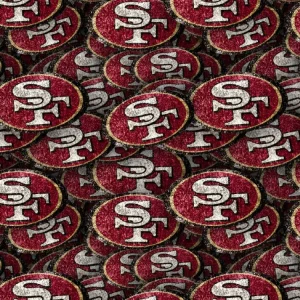 San Francisco 49ers 24