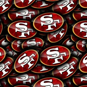 San Francisco 49ers 22