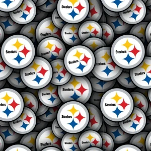 Pittsburgh Steelers 25