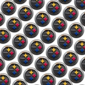 Pittsburgh Steelers 24