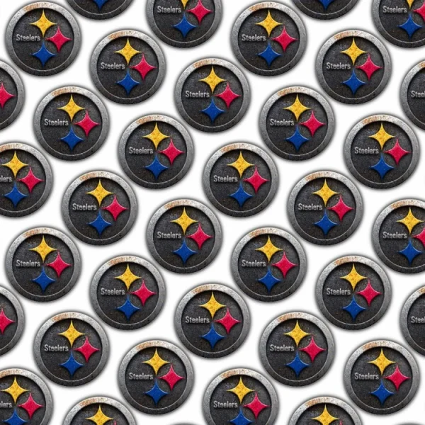 Pittsburgh Steelers 24