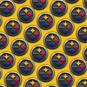 Pittsburgh Steelers 23