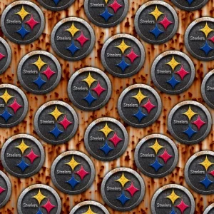 Pittsburgh Steelers 22