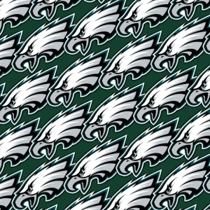 Philadelphia Eagles 24