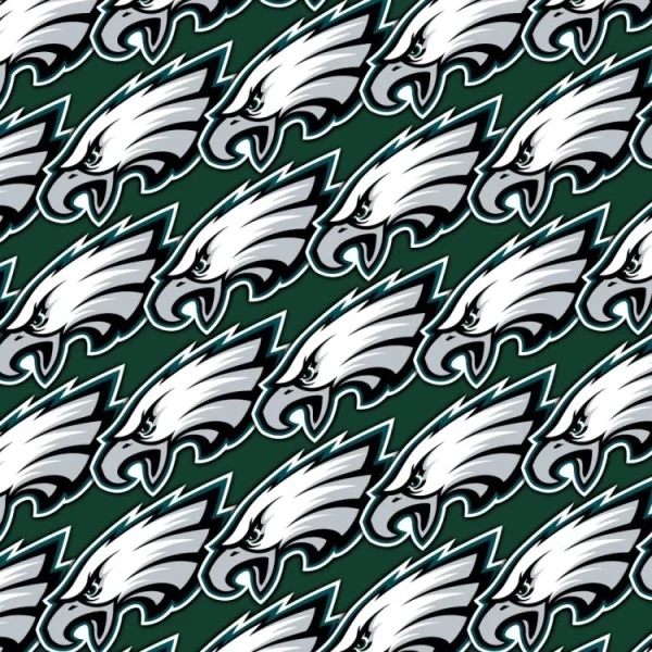 Philadelphia Eagles 24