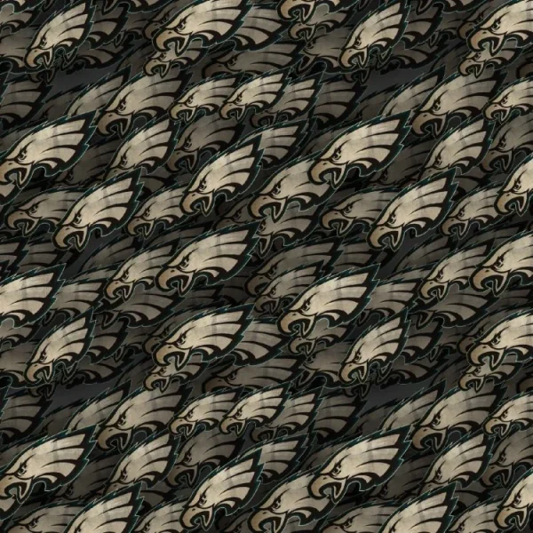 Philadelphia Eagles 23