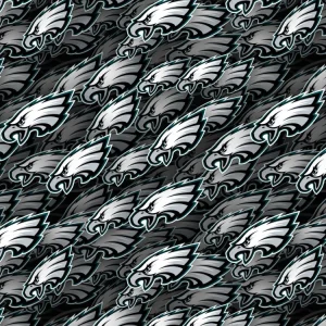Philadelphia Eagles 22