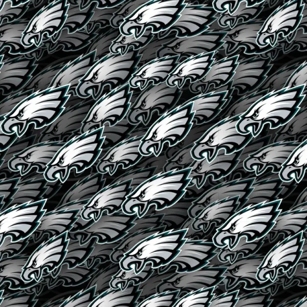 Philadelphia Eagles 22