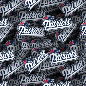 New England Patriots 22